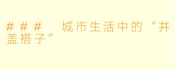 ### 城市生活中的“井盖搭子”