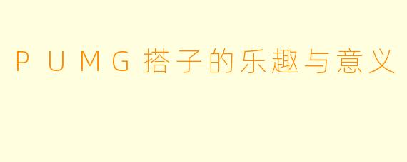 PUMG搭子的乐趣与意义