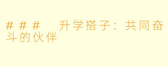 ### 升学搭子：共同奋斗的伙伴