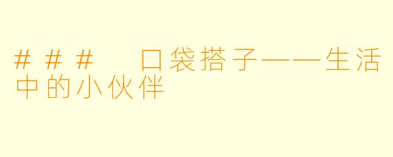 ### 口袋搭子——生活中的小伙伴