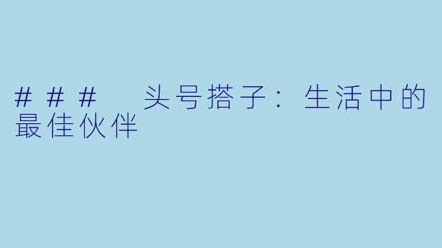 ### 头号搭子：生活中的最佳伙伴