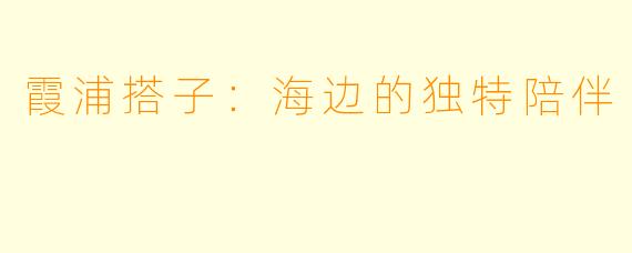 霞浦搭子：海边的独特陪伴