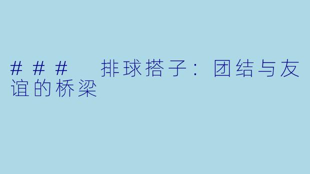 ### 排球搭子：团结与友谊的桥梁