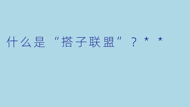 什么是“搭子联盟”?**