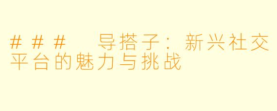 ### 导搭子:新兴社交平台的魅力与挑战