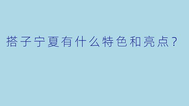搭子宁夏有什么特色和亮点？