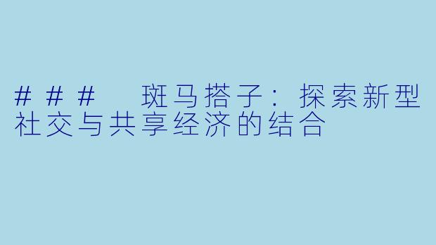 ### 斑马搭子:探索新型社交与共享经济的结合
