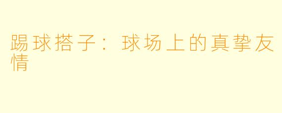踢球搭子：球场上的真挚友情