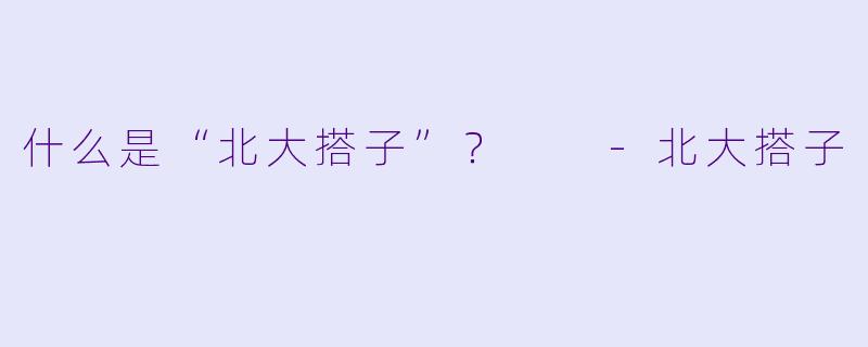 什么是“北大搭子”?