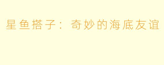 星鱼搭子：奇妙的海底友谊