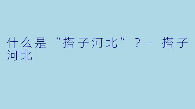 什么是“搭子河北”？
