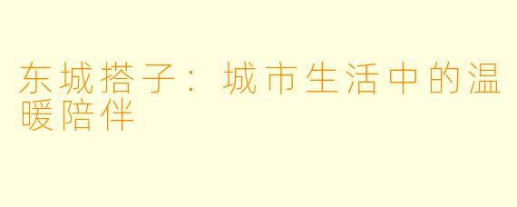 东城搭子：城市生活中的温暖陪伴