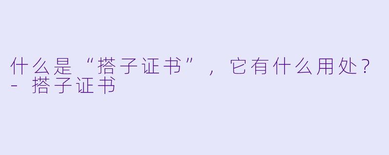 什么是“搭子证书”,它有什么用处?