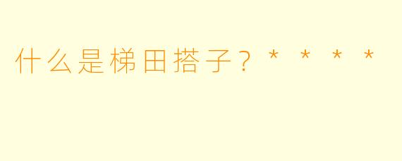 什么是梯田搭子?****