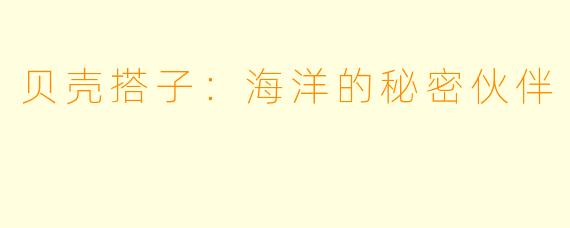 贝壳搭子：海洋的秘密伙伴