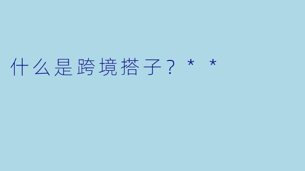 什么是跨境搭子？**