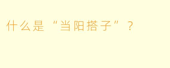 什么是“当阳搭子”？  