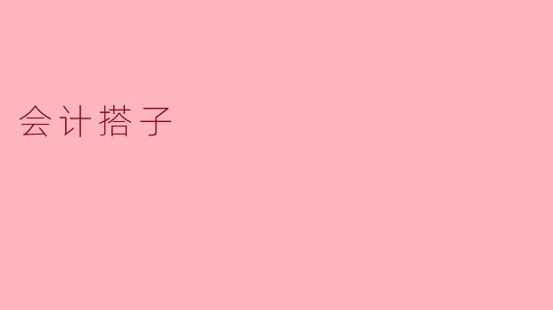 会计搭子