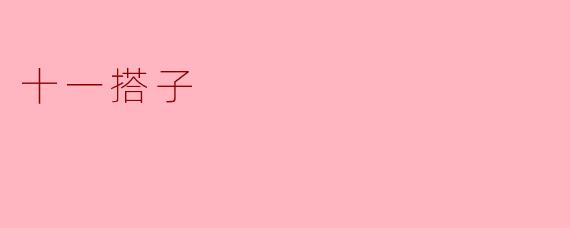 什么是“十一搭子”,它有什么主要的特点?
