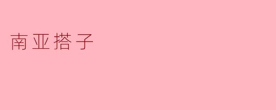 南亚搭子:连接文化与友谊的新桥梁
