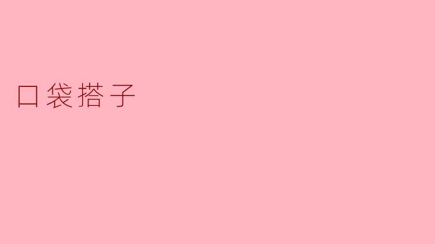 ### 口袋搭子——生活中的小伙伴