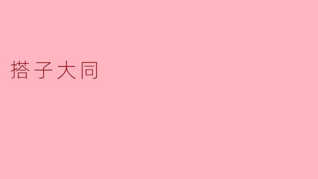 什么是“搭子大同”？  