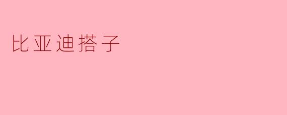比亚迪搭子是什么？  