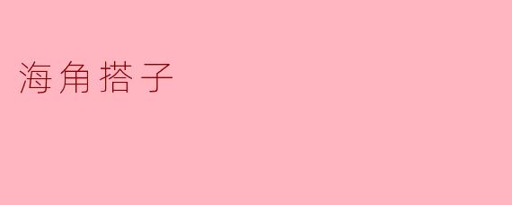 ### 海角搭子:友情与探索的旅程