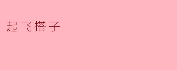 起飞搭子