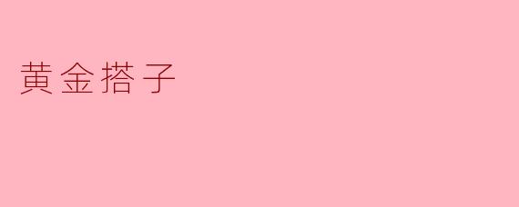 黄金搭子