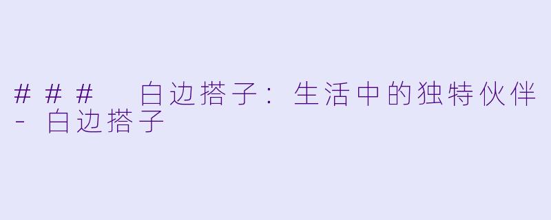### 白边搭子：生活中的独特伙伴-白边搭子
