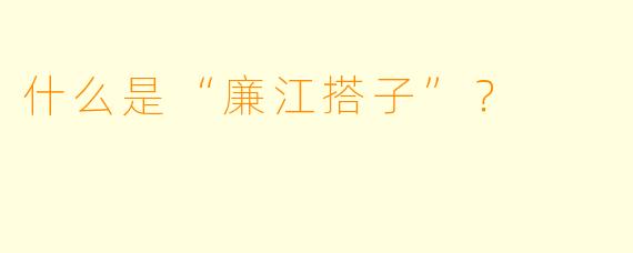 什么是“廉江搭子”？  