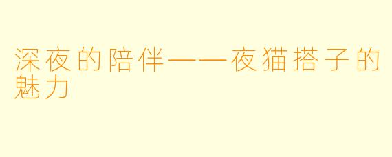 深夜的陪伴——夜猫搭子的魅力
