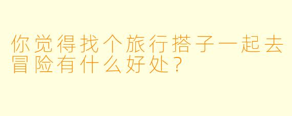 你觉得找个旅行搭子一起去冒险有什么好处？