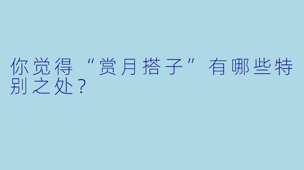 你觉得“赏月搭子”有哪些特别之处？