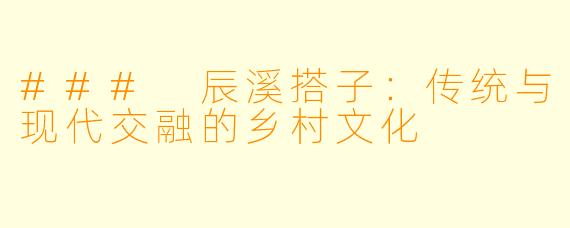 ### 辰溪搭子：传统与现代交融的乡村文化