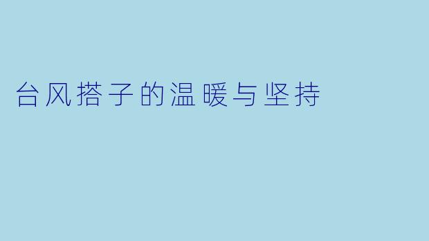 台风搭子的温暖与坚持