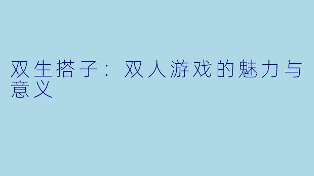 双生搭子：双人游戏的魅力与意义