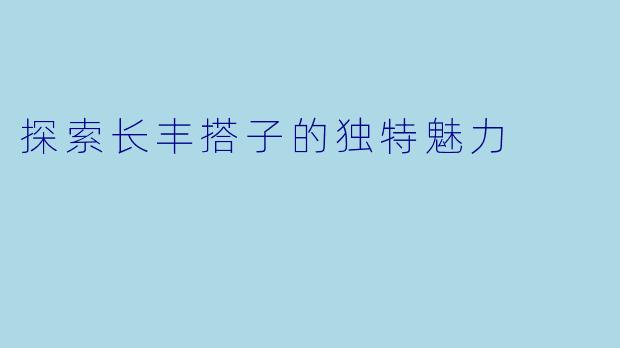 探索长丰搭子的独特魅力