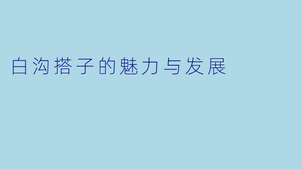白沟搭子的魅力与发展
