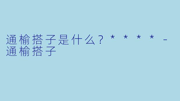 通榆搭子是什么？****