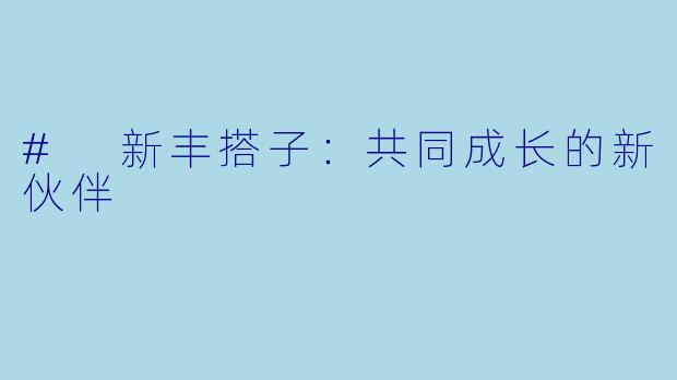 # 新丰搭子：共同成长的新伙伴