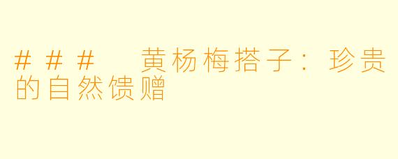 ### 黄杨梅搭子:珍贵的自然馈赠