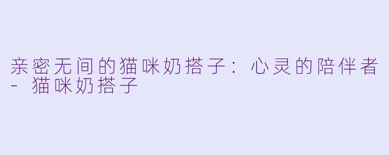 亲密无间的猫咪奶搭子:心灵的陪伴者