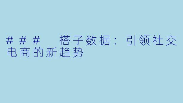 ### 搭子数据：引领社交电商的新趋势