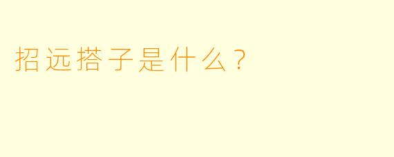 招远搭子是什么？