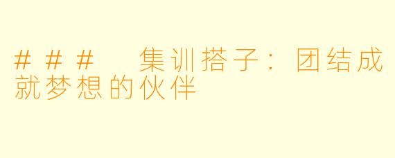 ### 集训搭子：团结成就梦想的伙伴