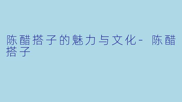 陈醋搭子的魅力与文化-陈醋搭子