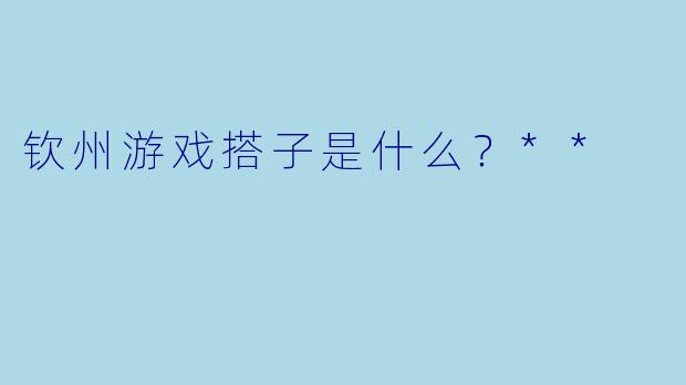 钦州游戏搭子是什么？**