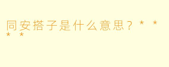 同安搭子是什么意思？****